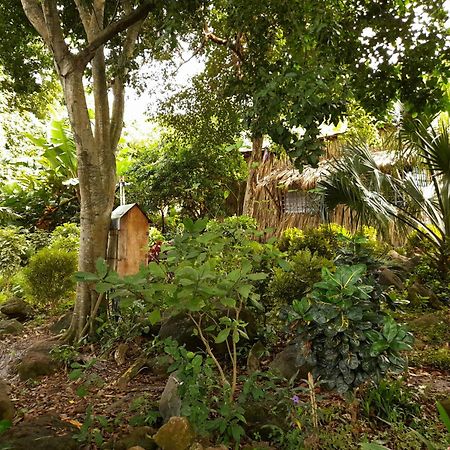 El Bamboo Cabins Balgue Dış mekan fotoğraf