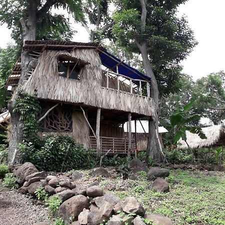 El Bamboo Cabins Balgue Dış mekan fotoğraf