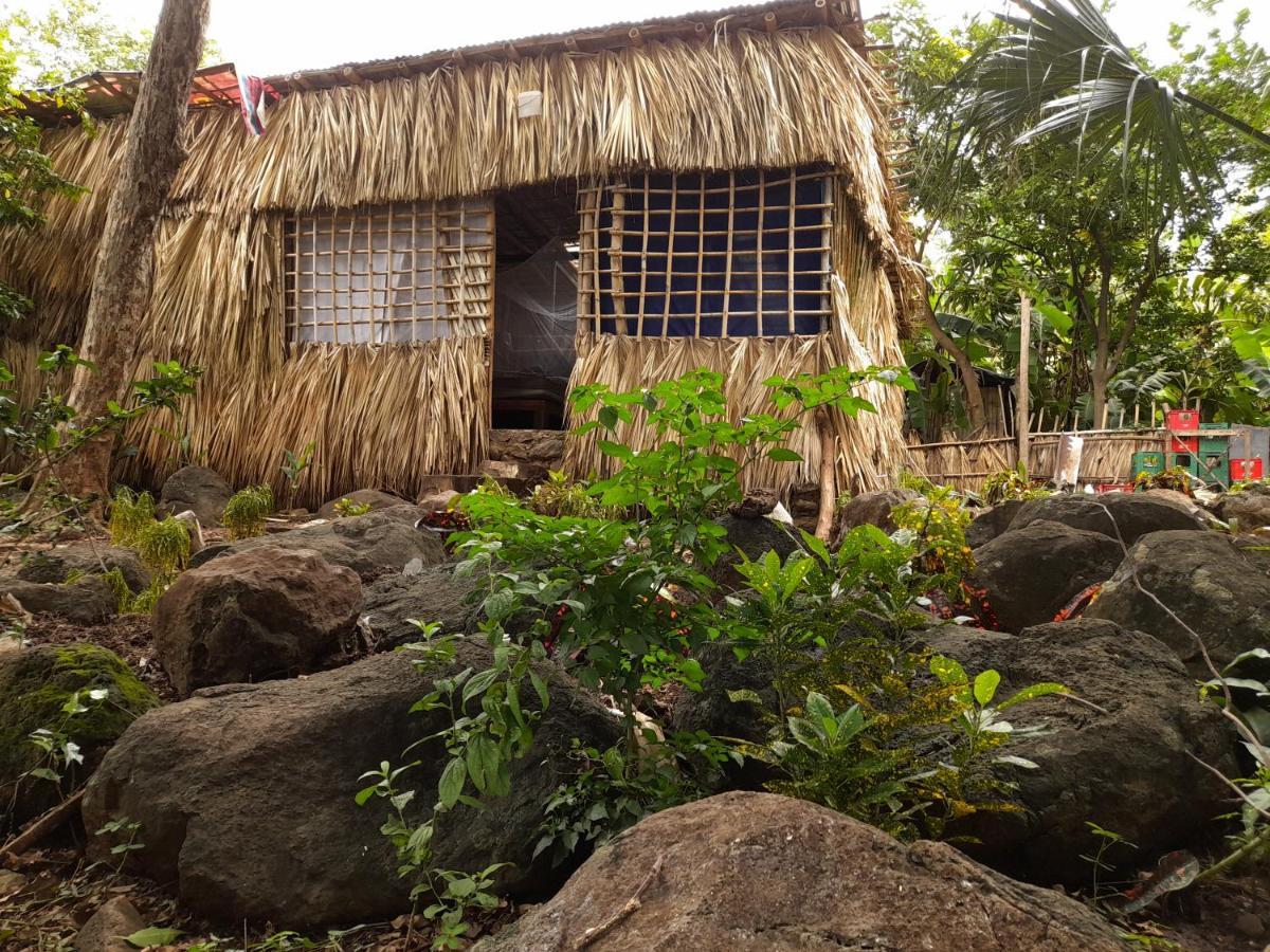 El Bamboo Cabins Balgue Dış mekan fotoğraf