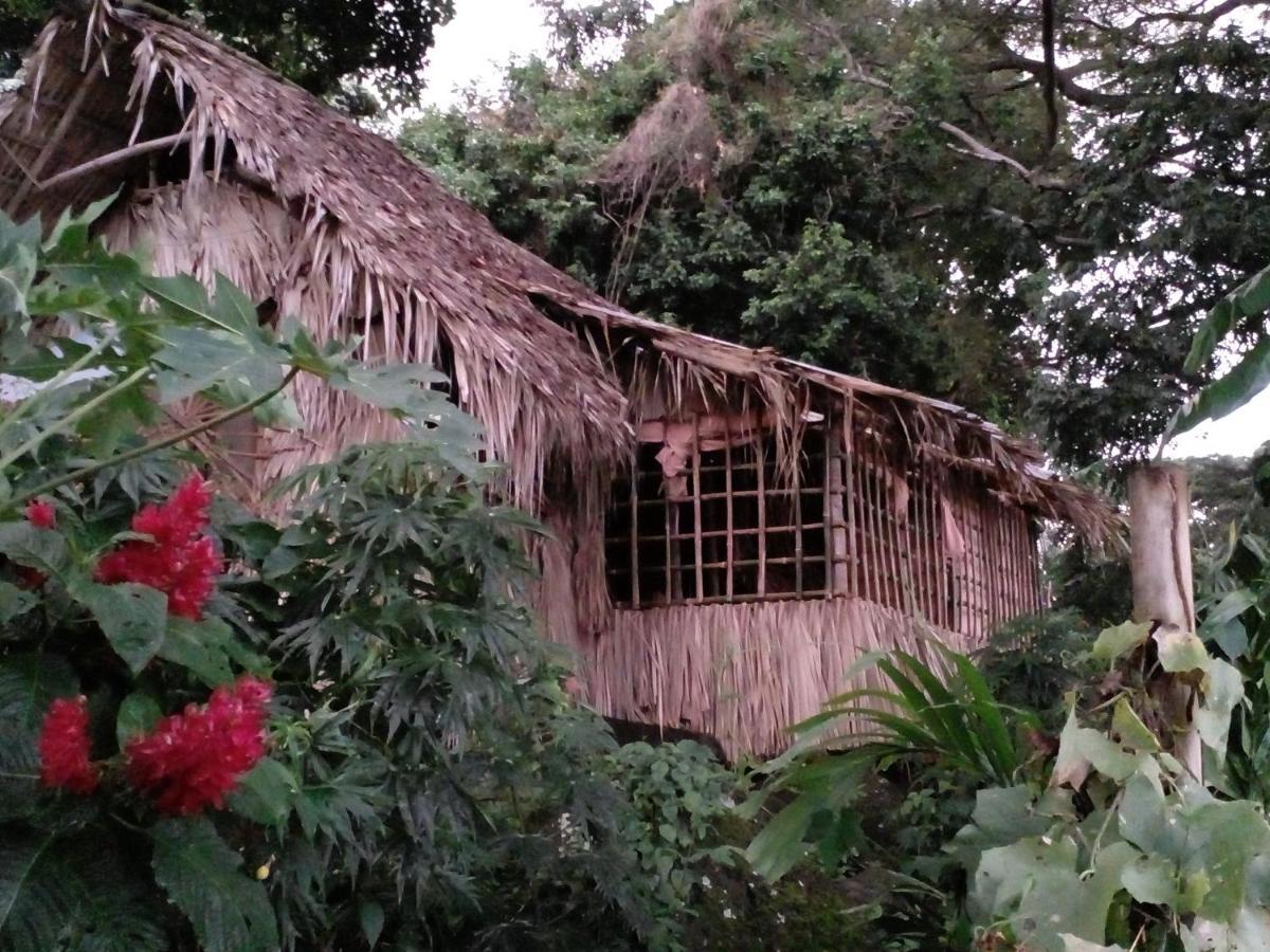 El Bamboo Cabins Balgue Dış mekan fotoğraf
