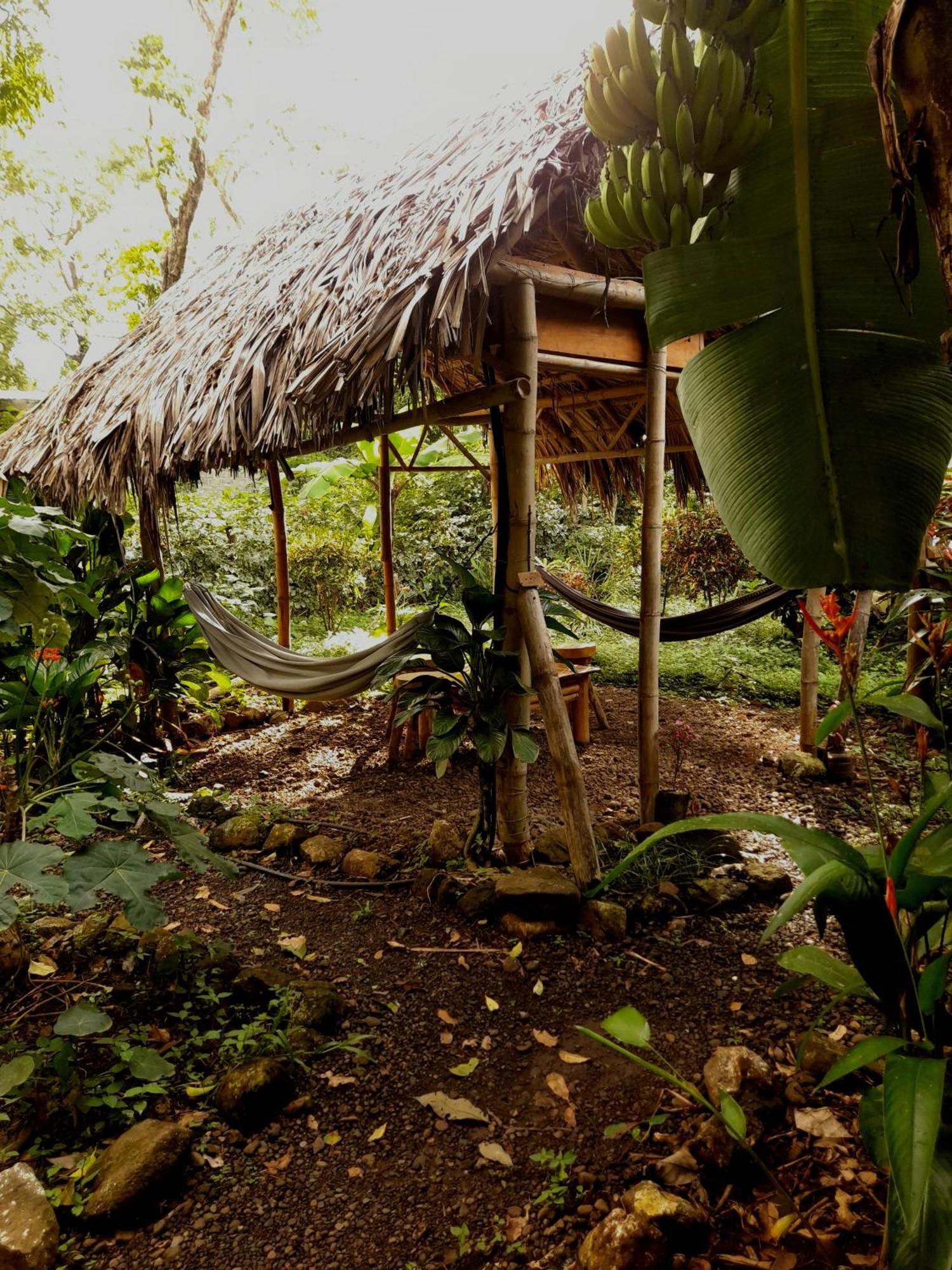 El Bamboo Cabins Balgue Dış mekan fotoğraf