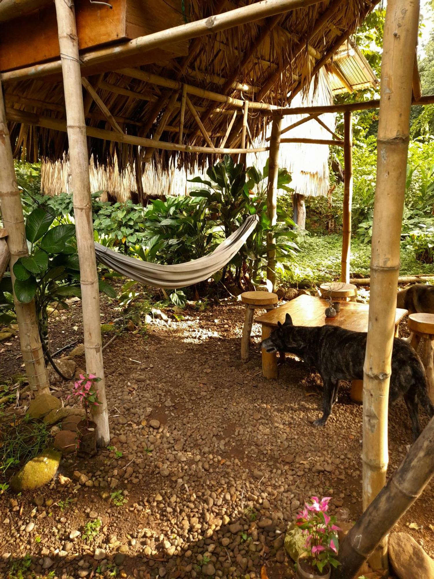 El Bamboo Cabins Balgue Dış mekan fotoğraf