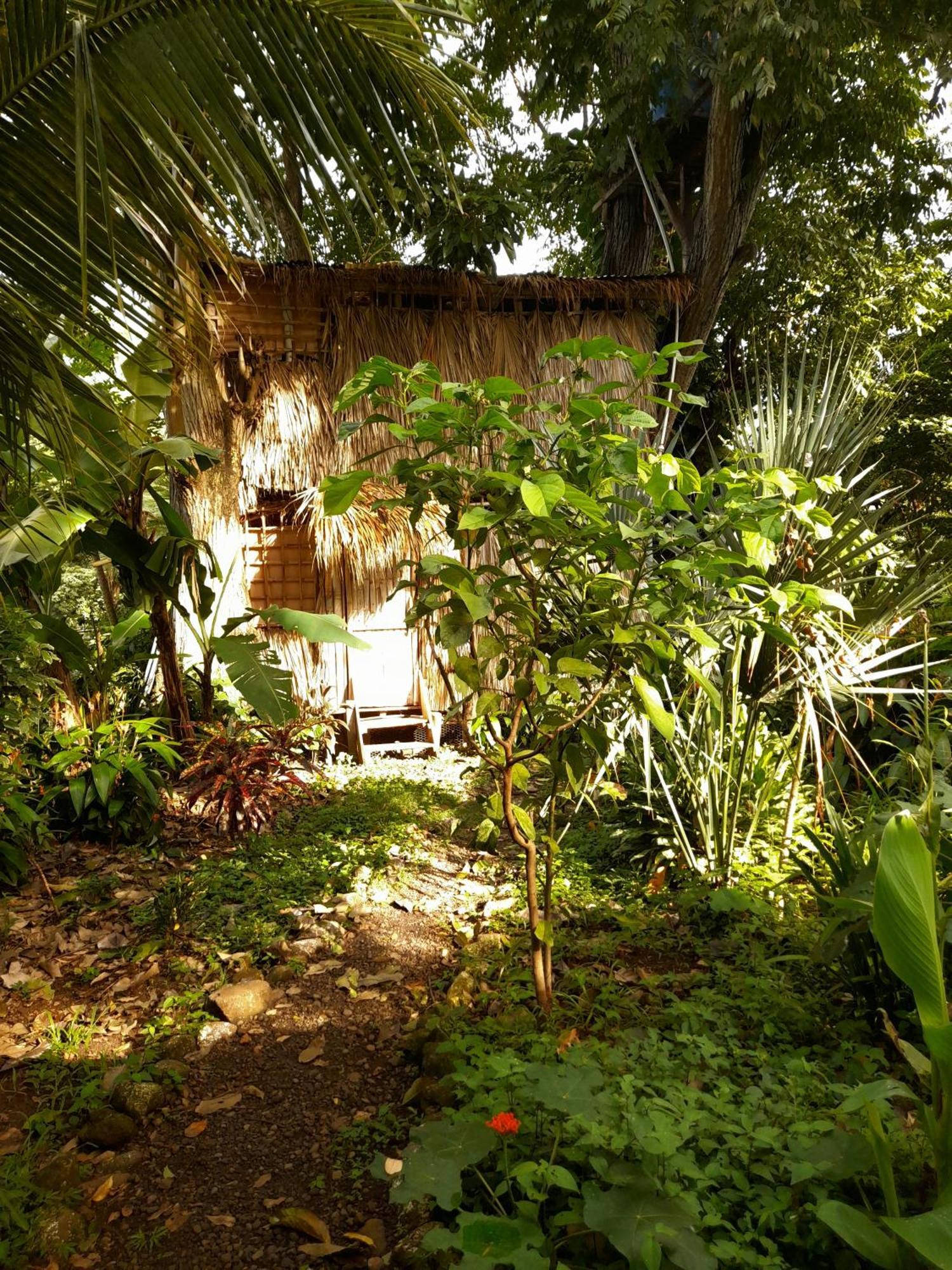 El Bamboo Cabins Balgue Dış mekan fotoğraf