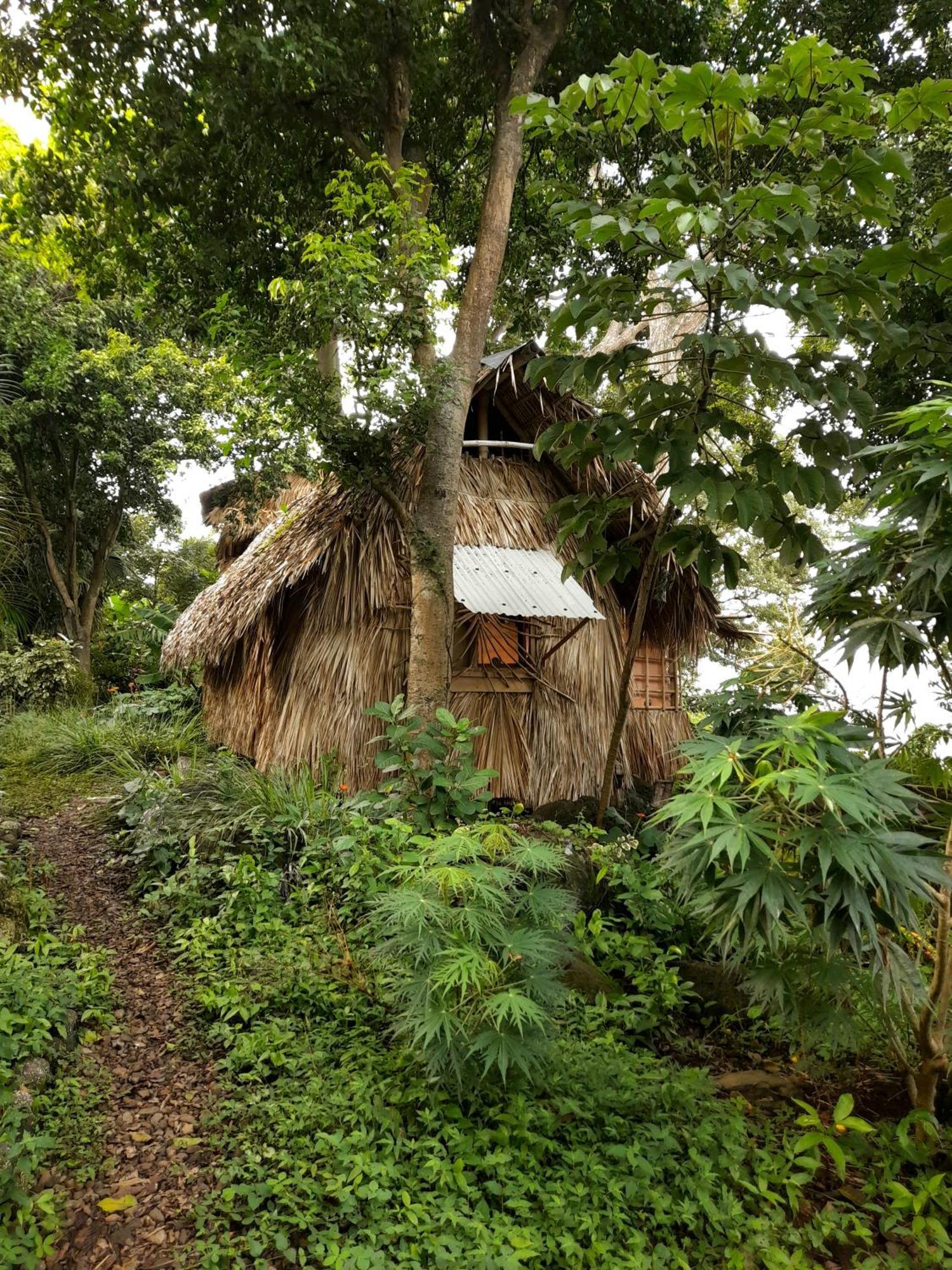 El Bamboo Cabins Balgue Dış mekan fotoğraf